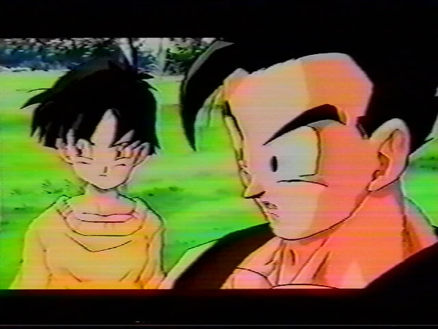 Dragonball Z Movie 13 (22).jpg